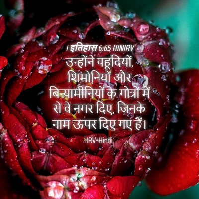 Picture 04 - 1 इतिहास 6:65 HINIRV - उन्होंने - Bible Verse Picture