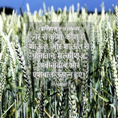 Picture 04 - 1 इतिहास 9:39 HINIRV - नेर से कीश, कीश से - Bible Verse Picture
