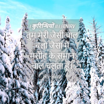 Picture 04 - 1 कुरिन्थियों 11:1 HINIRV - तुम मेरी जैसी चाल - Bible Verse Picture