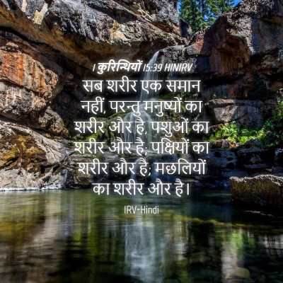 Picture 04 - 1 कुरिन्थियों 15:39 HINIRV - सब शरीर एक समान - Bible Verse Picture