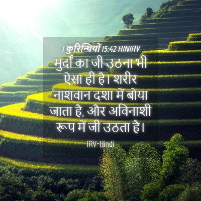 Picture 04 - 1 कुरिन्थियों 15:42 HINIRV - मुर्दों का जी उठना - Bible Verse Picture