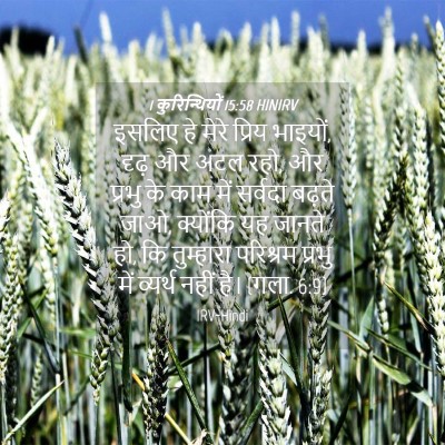 Picture 04 - 1 कुरिन्थियों 15:58 HINIRV - इसलिए हे मेरे - Bible Verse Picture