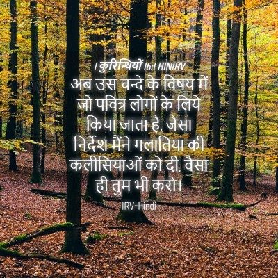 Picture 04 - 1 कुरिन्थियों 16:1 HINIRV - अब उस चन्दे के विषय - Bible Verse Picture