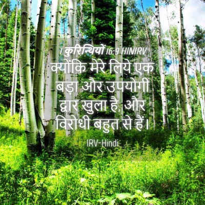 Picture 04 - 1 कुरिन्थियों 16:9 HINIRV - क्योंकि मेरे लिये - Bible Verse Picture