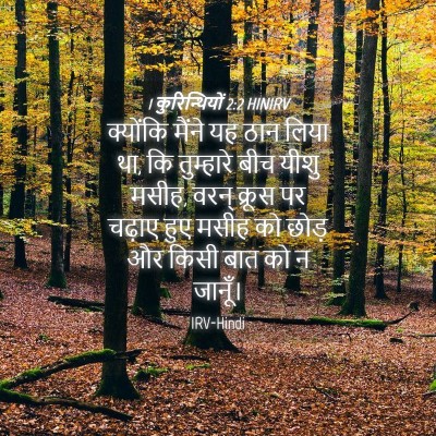 Picture 04 - 1 कुरिन्थियों 2:2 HINIRV - क्योंकि मैंने यह - Bible Verse Picture