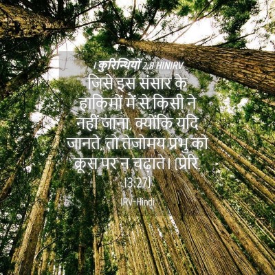 Picture 04 - 1 कुरिन्थियों 2:8 HINIRV - जिसे इस संसार के - Bible Verse Picture