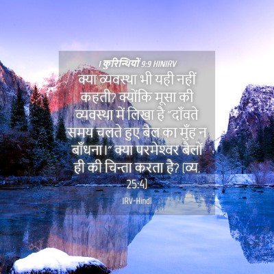 Picture 04 - 1 कुरिन्थियों 9:9 HINIRV - क्या व्यवस्था भी - Bible Verse Picture