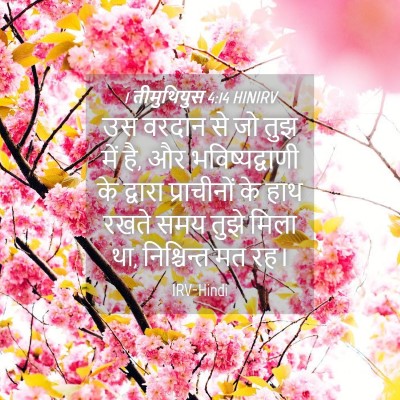 Picture 04 - 1 तीमुथियुस 4:14 HINIRV - उस वरदान से जो तुझ - Bible Verse Picture