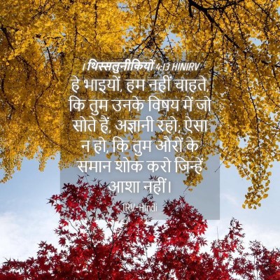 Picture 04 - 1 थिस्सलुनीकियों 4:13 HINIRV - हे भाइयों, हम नहीं - Bible Verse Picture
