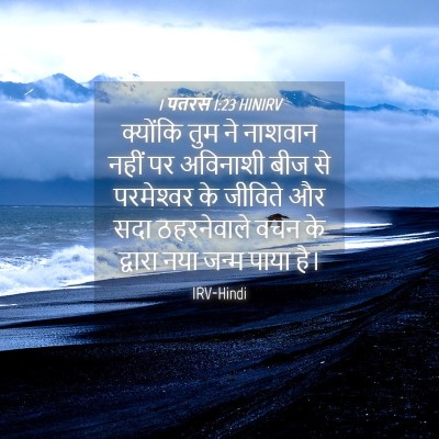 Picture 04 - 1 पतरस 1:23 HINIRV - क्योंकि तुम ने - Bible Verse Picture