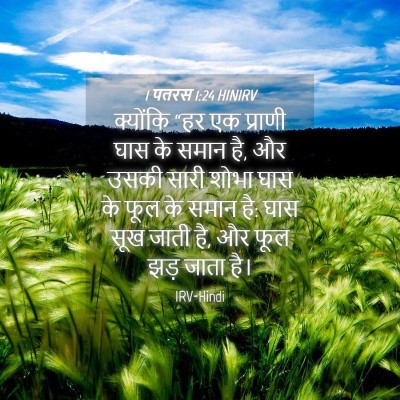 Picture 04 - 1 पतरस 1:24 HINIRV - क्योंकि “हर एक - Bible Verse Picture