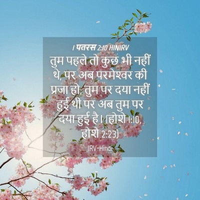 Picture 04 - 1 पतरस 2:10 HINIRV - तुम पहले तो कुछ भी - Bible Verse Picture