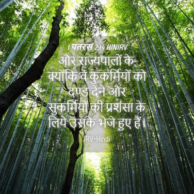 Picture 04 - 1 पतरस 2:14 HINIRV - और राज्यपालों के, - Bible Verse Picture