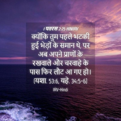 Picture 04 - 1 पतरस 2:25 HINIRV - क्योंकि तुम पहले - Bible Verse Picture