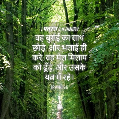 Picture 04 - 1 पतरस 3:11 HINIRV - वह बुराई का साथ - Bible Verse Picture