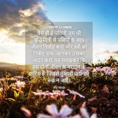 Picture 04 - 1 पतरस 3:7 HINIRV - वैसे ही हे पतियों, - Bible Verse Picture