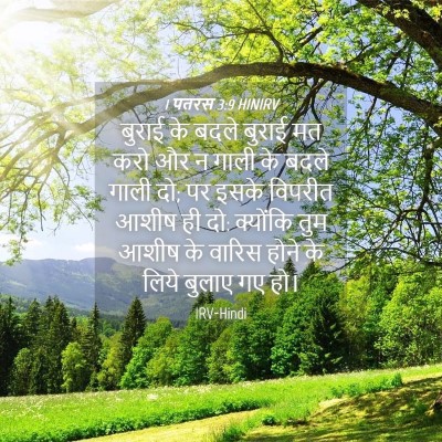 Picture 04 - 1 पतरस 3:9 HINIRV - बुराई के बदले - Bible Verse Picture
