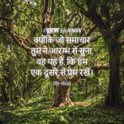 Picture 04 - 1 यूहन्ना 3:11 HINIRV - क्योंकि जो समाचार - Bible Verse Picture