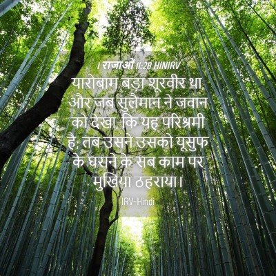 Picture 04 - 1 राजाओं 11:28 HINIRV - यारोबाम बड़ा - Bible Verse Picture