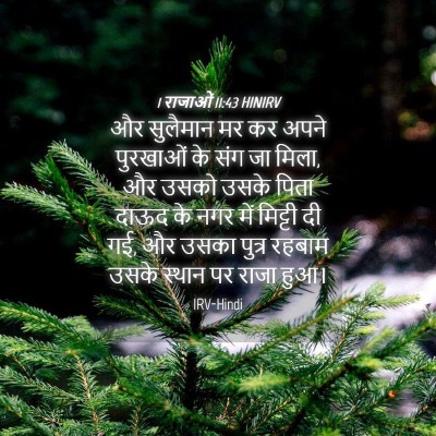 Picture 04 - 1 राजाओं 11:43 HINIRV - और सुलैमान मर कर - Bible Verse Picture