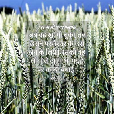 Picture 04 - 1 राजाओं 13:23 HINIRV - जब वह खा पी चुका, तब - Bible Verse Picture