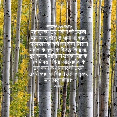 Picture 04 - 1 राजाओं 13:26 HINIRV - यह सुनकर उस नबी ने - Bible Verse Picture