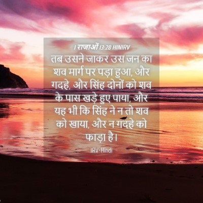 Picture 04 - 1 राजाओं 13:28 HINIRV - तब उसने जाकर उस जन - Bible Verse Picture