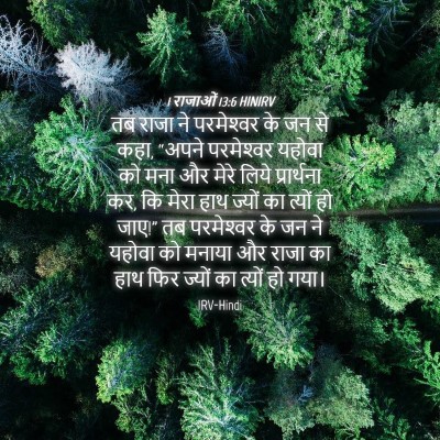 Picture 04 - 1 राजाओं 13:6 HINIRV - तब राजा ने - Bible Verse Picture