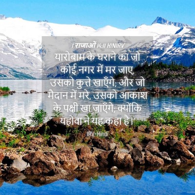 Picture 04 - 1 राजाओं 14:11 HINIRV - यारोबाम के घराने - Bible Verse Picture