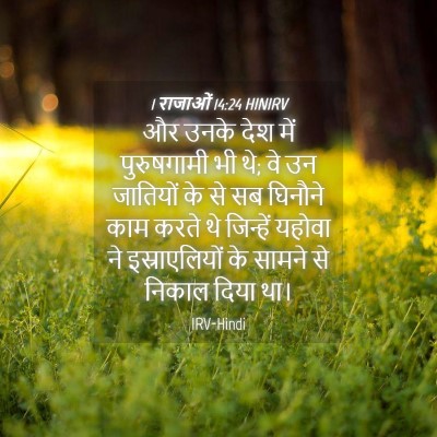 Picture 04 - 1 राजाओं 14:24 HINIRV - और उनके देश में - Bible Verse Picture