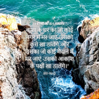 Picture 04 - 1 राजाओं 16:4 HINIRV - बाशा के घर का जो - Bible Verse Picture