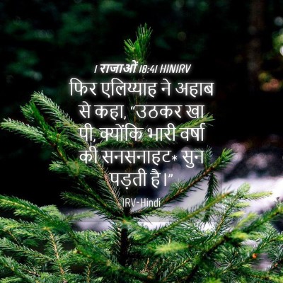 Picture 04 - 1 राजाओं 18:41 HINIRV - फिर एलिय्याह ने - Bible Verse Picture