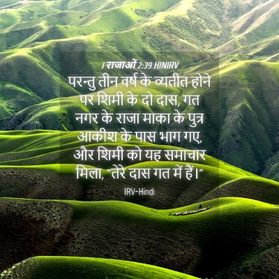 Picture 04 - 1 राजाओं 2:39 HINIRV - परन्तु तीन वर्ष के - Bible Verse Picture