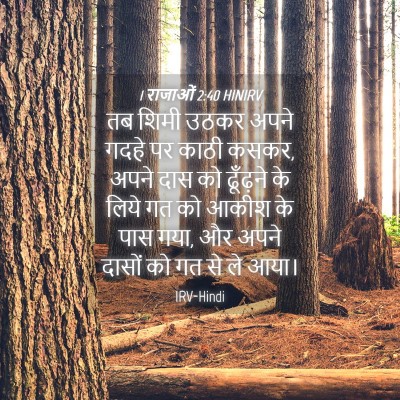 Picture 04 - 1 राजाओं 2:40 HINIRV - तब शिमी उठकर अपने - Bible Verse Picture