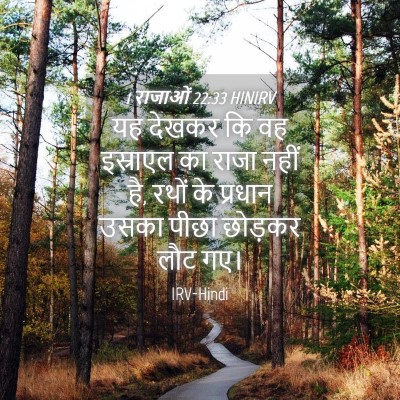 Picture 04 - 1 राजाओं 22:33 HINIRV - यह देखकर कि वह - Bible Verse Picture
