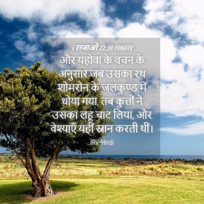Picture 04 - 1 राजाओं 22:38 HINIRV - और यहोवा के वचन के - Bible Verse Picture