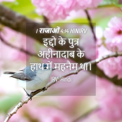 Picture 04 - 1 राजाओं 4:14 HINIRV - इद्दो के पुत्र - Bible Verse Picture
