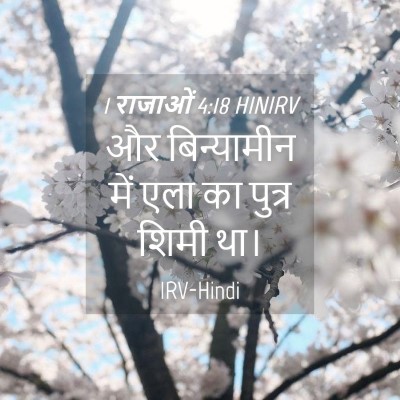 Picture 04 - 1 राजाओं 4:18 HINIRV - और बिन्यामीन में - Bible Verse Picture