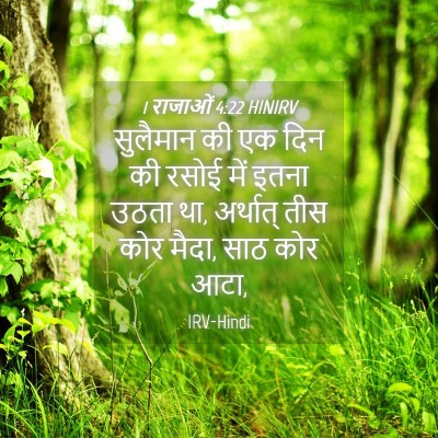 Picture 04 - 1 राजाओं 4:22 HINIRV - सुलैमान की एक दिन - Bible Verse Picture
