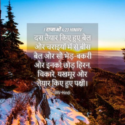 Picture 04 - 1 राजाओं 4:23 HINIRV - दस तैयार किए हुए - Bible Verse Picture