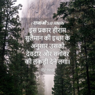 Picture 04 - 1 राजाओं 5:10 HINIRV - इस प्रकार हीराम - Bible Verse Picture