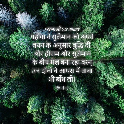 Picture 04 - 1 राजाओं 5:12 HINIRV - यहोवा ने सुलैमान - Bible Verse Picture