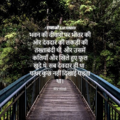 Picture 04 - 1 राजाओं 6:18 HINIRV - भवन की दीवारों पर - Bible Verse Picture