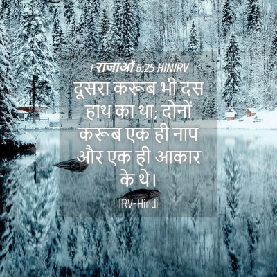 Picture 04 - 1 राजाओं 6:25 HINIRV - दूसरा करूब भी दस - Bible Verse Picture