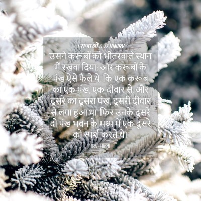 Picture 04 - 1 राजाओं 6:27 HINIRV - उसने करूबों को - Bible Verse Picture
