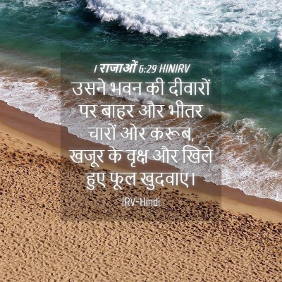 Picture 04 - 1 राजाओं 6:29 HINIRV - उसने भवन की - Bible Verse Picture