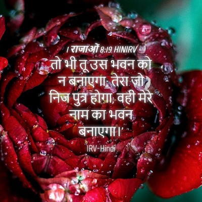 Picture 04 - 1 राजाओं 8:19 HINIRV - तो भी तू उस भवन को न - Bible Verse Picture