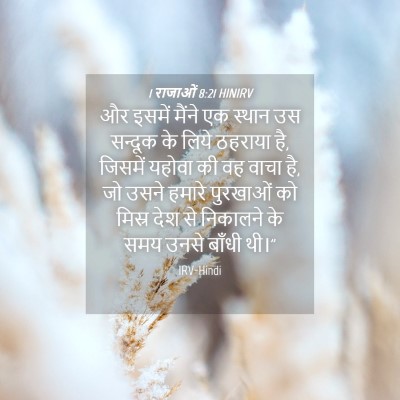Picture 04 - 1 राजाओं 8:21 HINIRV - और इसमें मैंने एक - Bible Verse Picture