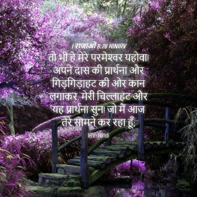 Picture 04 - 1 राजाओं 8:28 HINIRV - तो भी हे मेरे - Bible Verse Picture