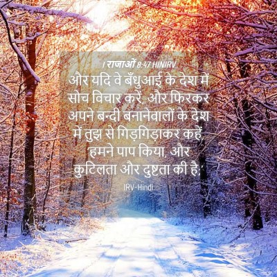 Picture 04 - 1 राजाओं 8:47 HINIRV - और यदि वे बँधुआई के - Bible Verse Picture
